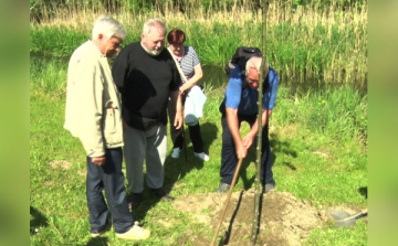 Az asztma világnapját ünnepelték
