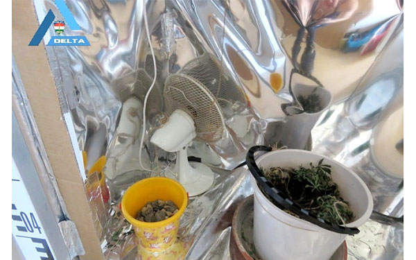 A szekrényben nevelte a kannabiszt egy kaposszekcsői férfi