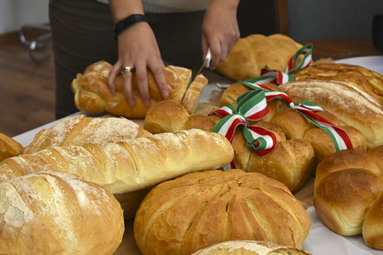 Már lehet szavazni, hogy melyik dombóvári szervezet kapja a támogatást