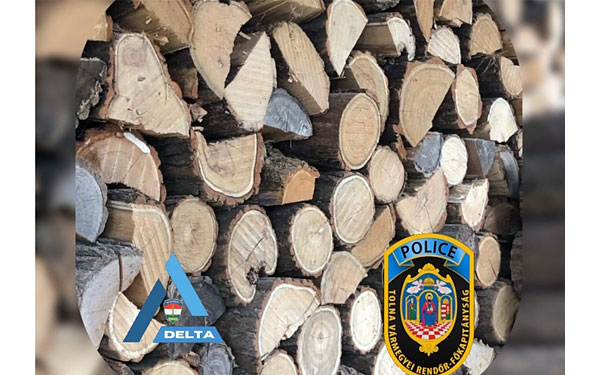 Trükkös online tűzifa árusok