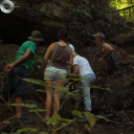 Deltások a Zselicben