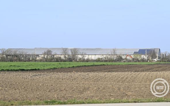 Nagy István: a saját állatai megóvása érdekében minden gazdálkodó továbbra is tartsa be a hatósági előírásokat