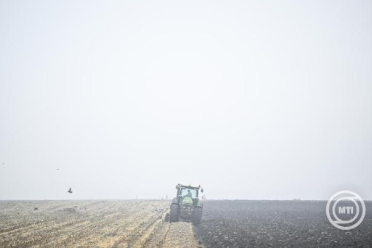 Agrometeorológia: számottevő csapadék várható, de nem elegendő mennyiségben