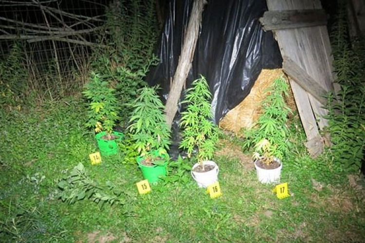 Kábítószer üzletelést akadályoztak meg a dombóvári rendőrök